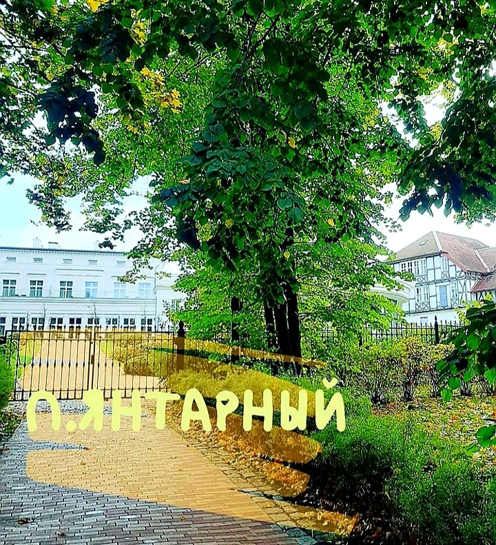 Логично - здесь добывают янтарь.