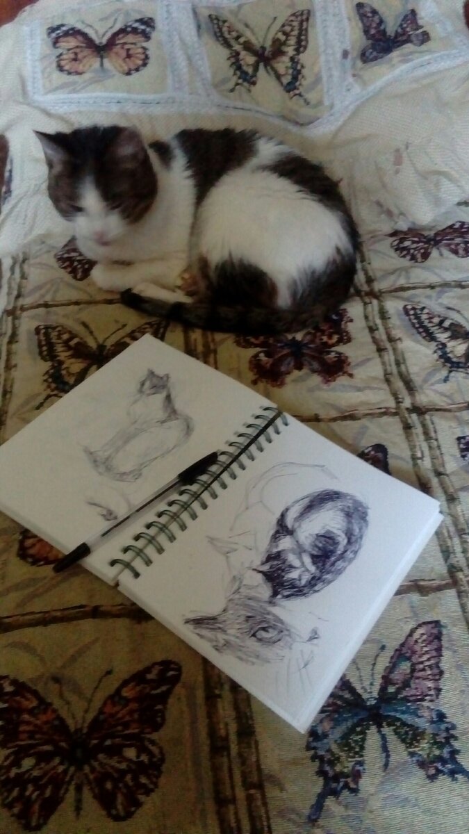 Зарисовки в скетчбуке. Кошка Несси. Автор Юлия Ледякова