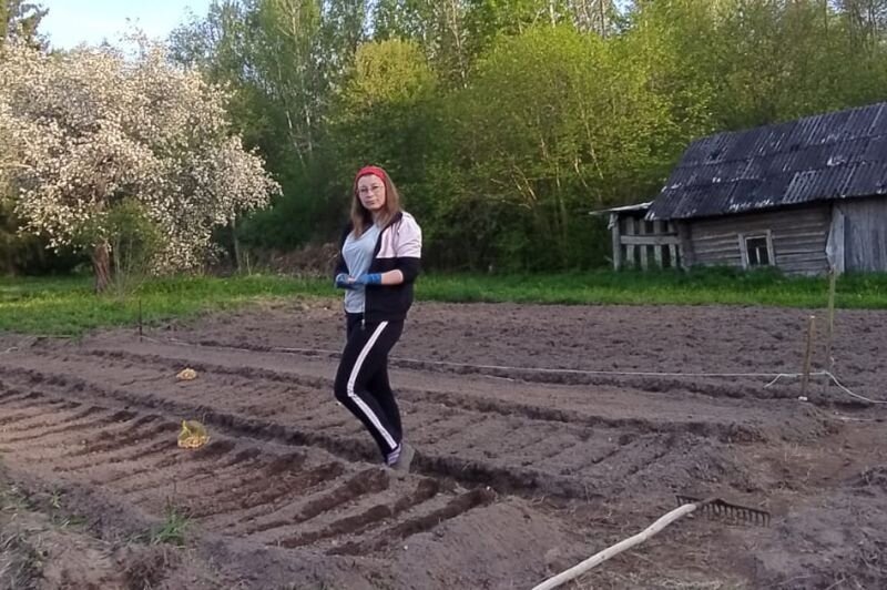 Вот такие обычные насыпные грядки делаю на огороде.