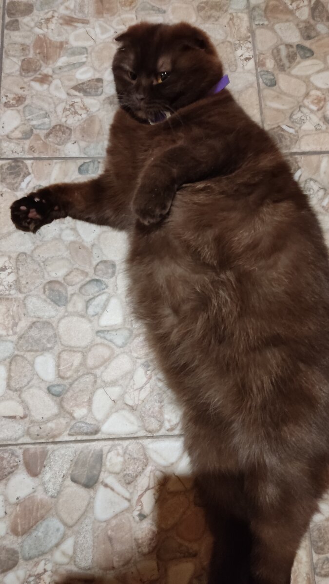 Она увеличилась в три раза