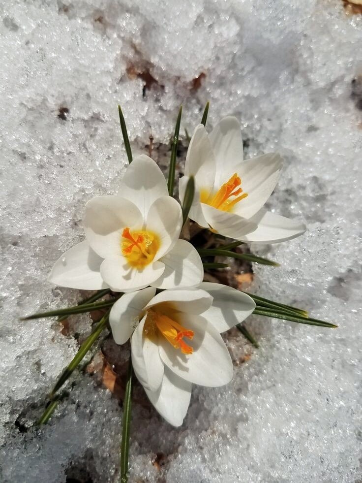 Фото с Pinterest 