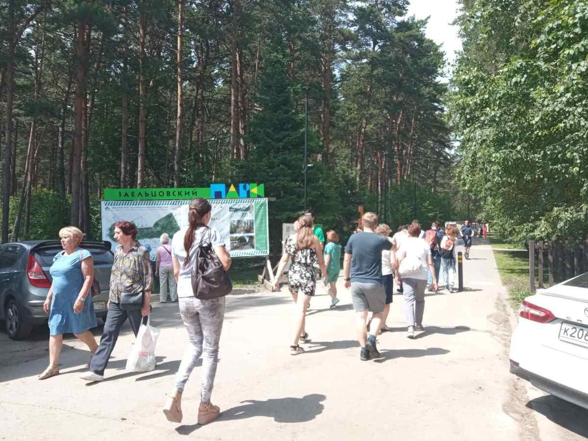 беседки в заельцовском парке новосибирск