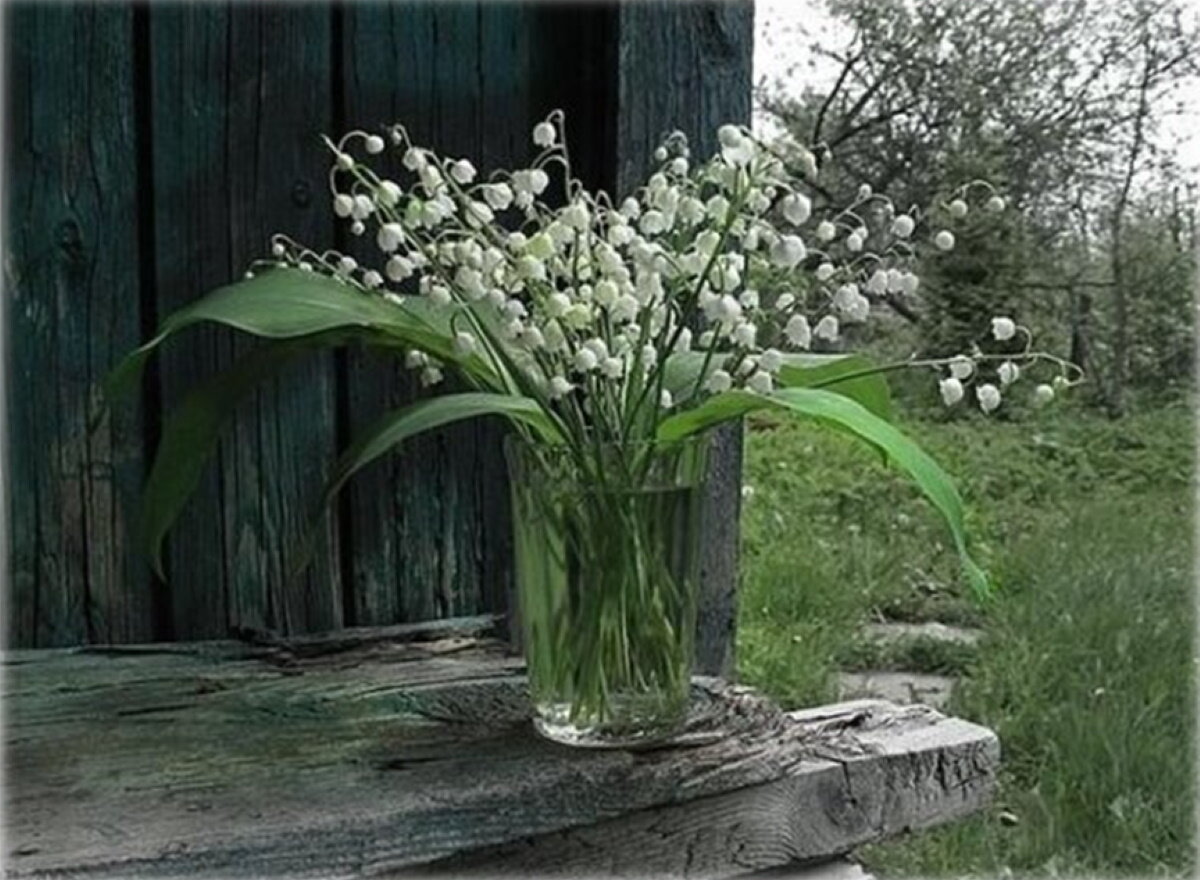 Фото из открытых источников