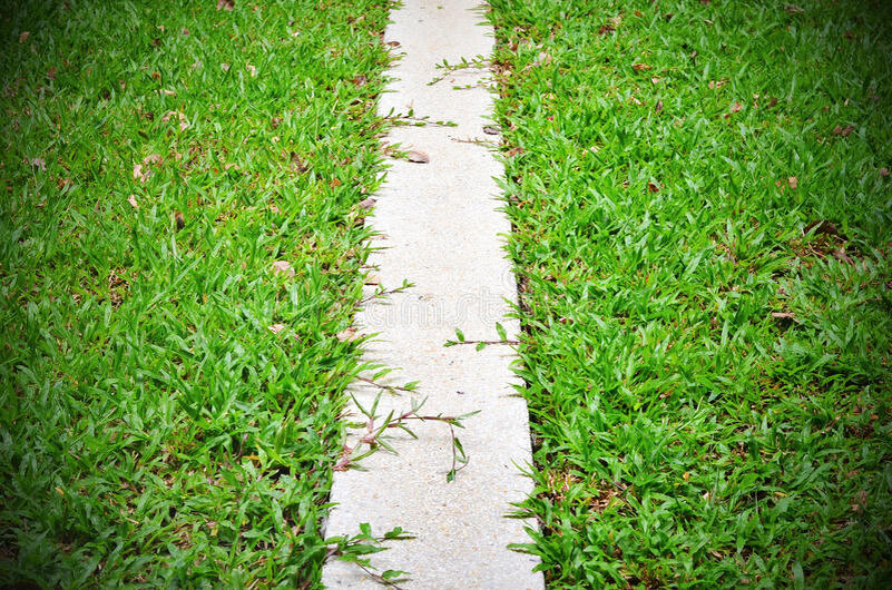 Источник :  Яндекс  картинки.