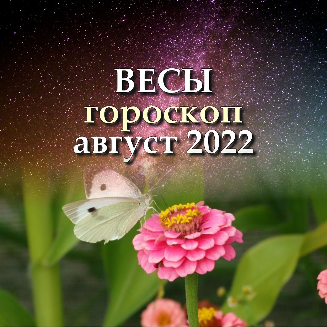 Гороскоп весы август 2022