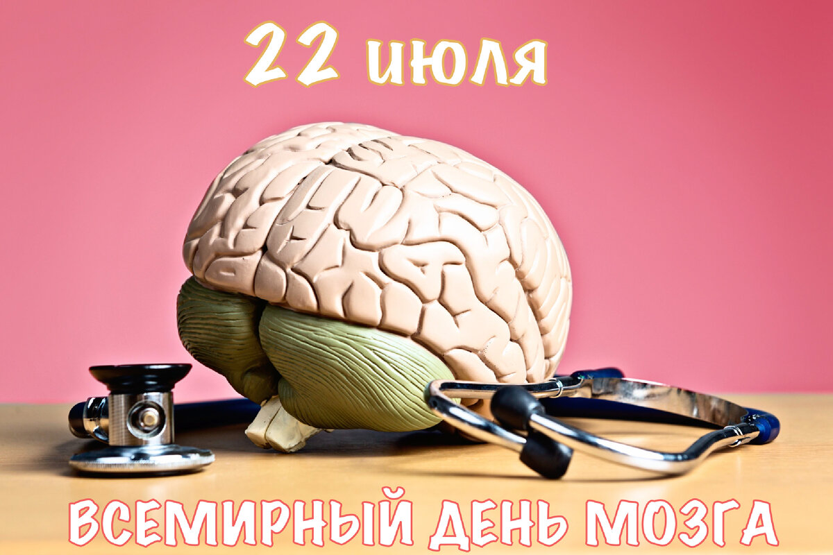 Всемирный день головного мозга | ГБУЗ МО «Видновская КБ» | Дзен