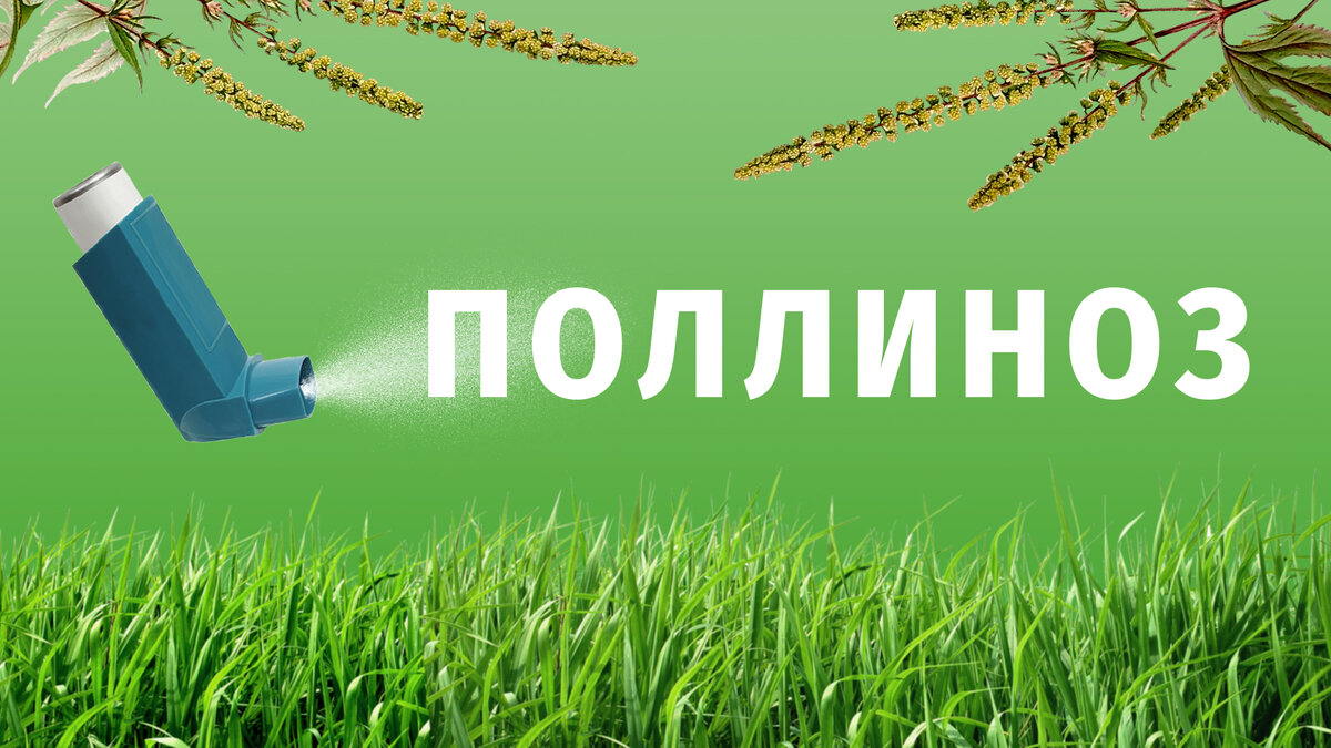 Аллергены с нами на протяжении всего лета - разбираемся где они