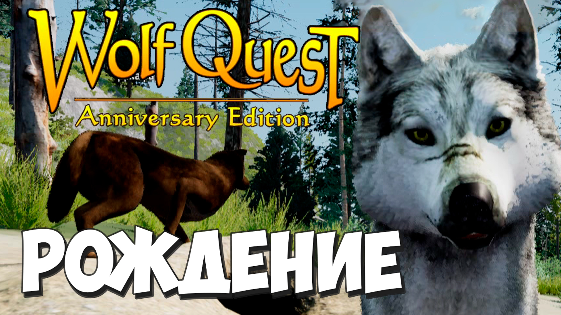 Прожить жизнь с волком Генералом! WolfQuest: Anniversary Edition -  Multiplayer #21