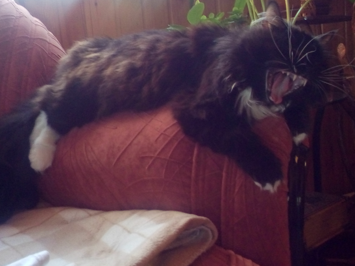 Пора просыпаться