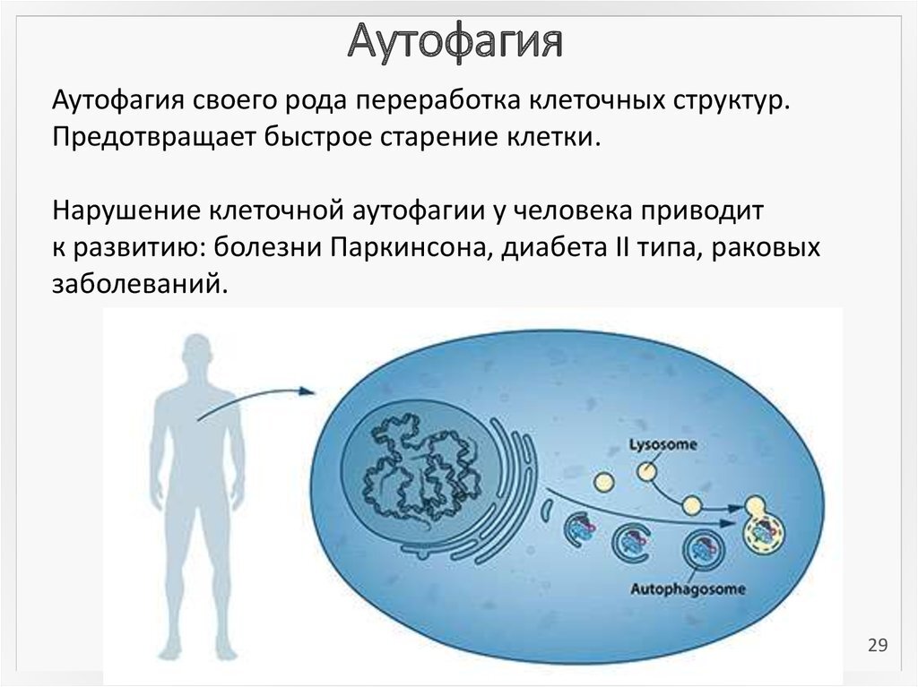 Картинка взята из Яндекса https://recordregion.ru/wp-content/uploads/b/4/8/b4806ba1f4a295d97a735abfea327b4c.jpeg