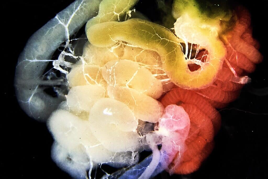    ©Samuel Cia, ETH Zurich