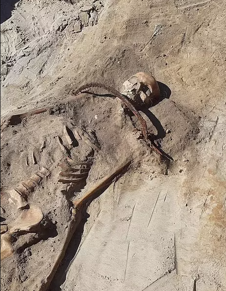 Серп поперек горла был гарантией того, что умерший не восстанет из мертвых. 
