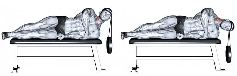 Фото: Яндекс Картинки