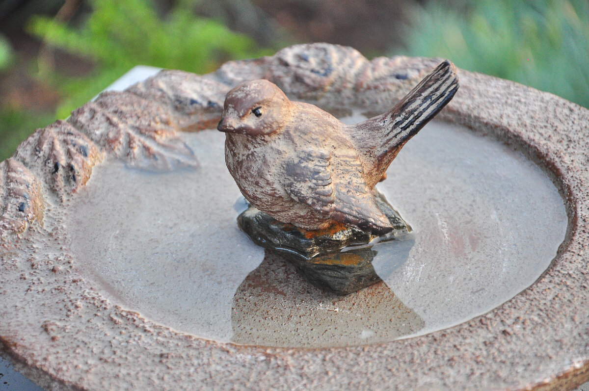 Красивая и функциональная вещь в саду