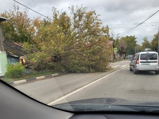     фото: Паблик "Подслушано в Туле" ВКонтакте/Антон Тарасов