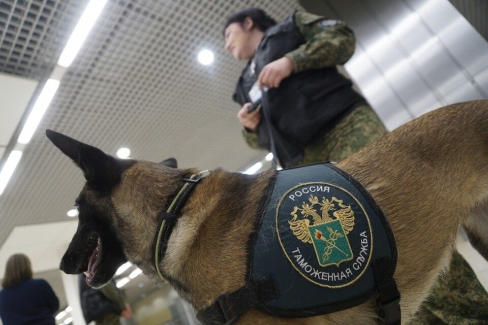     За одну проверку ростовские таможенники нашли недоимку в бюджет более 100 миллионов рублей за сигареты без акцизных марок. Алексей БУЛАТОВ