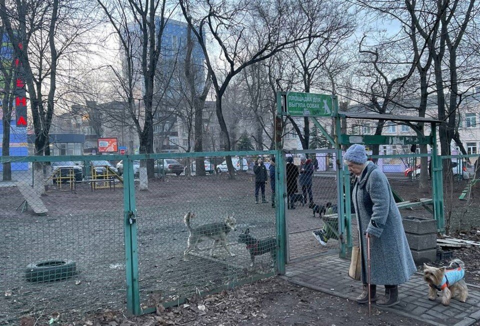     Спецплощадки часто занимают все место собаки крупных пород, которых малыши боятся. Анастасия ТАЛЫЗИНА