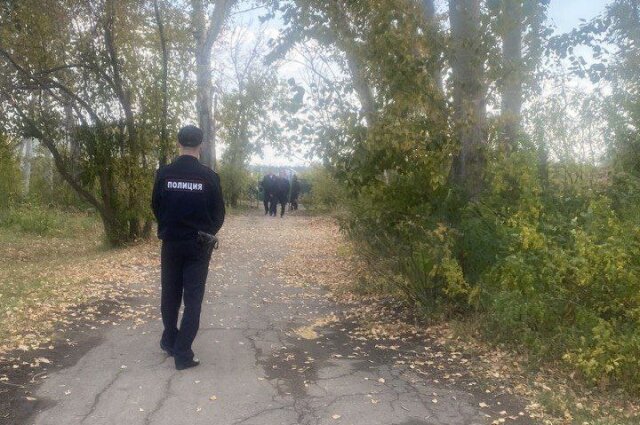    Младенец лежал в канаве без одежды. Фото: Прокуратура Омской области