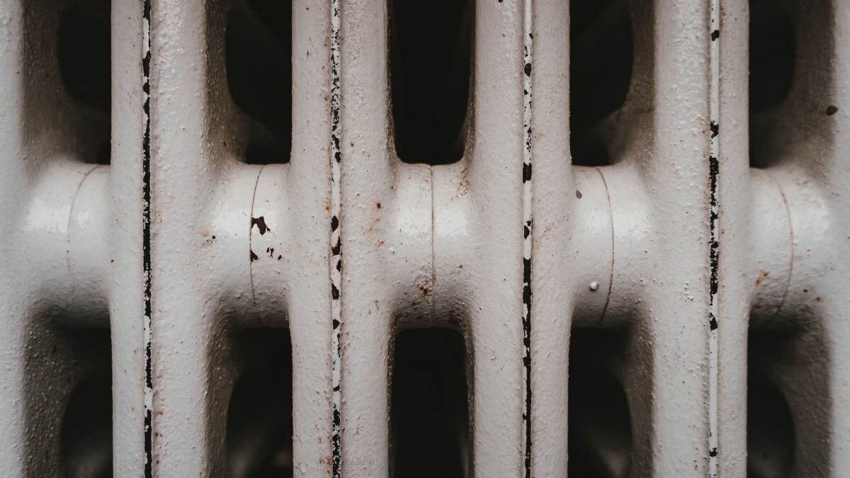    Фото: unsplash Август Макаров