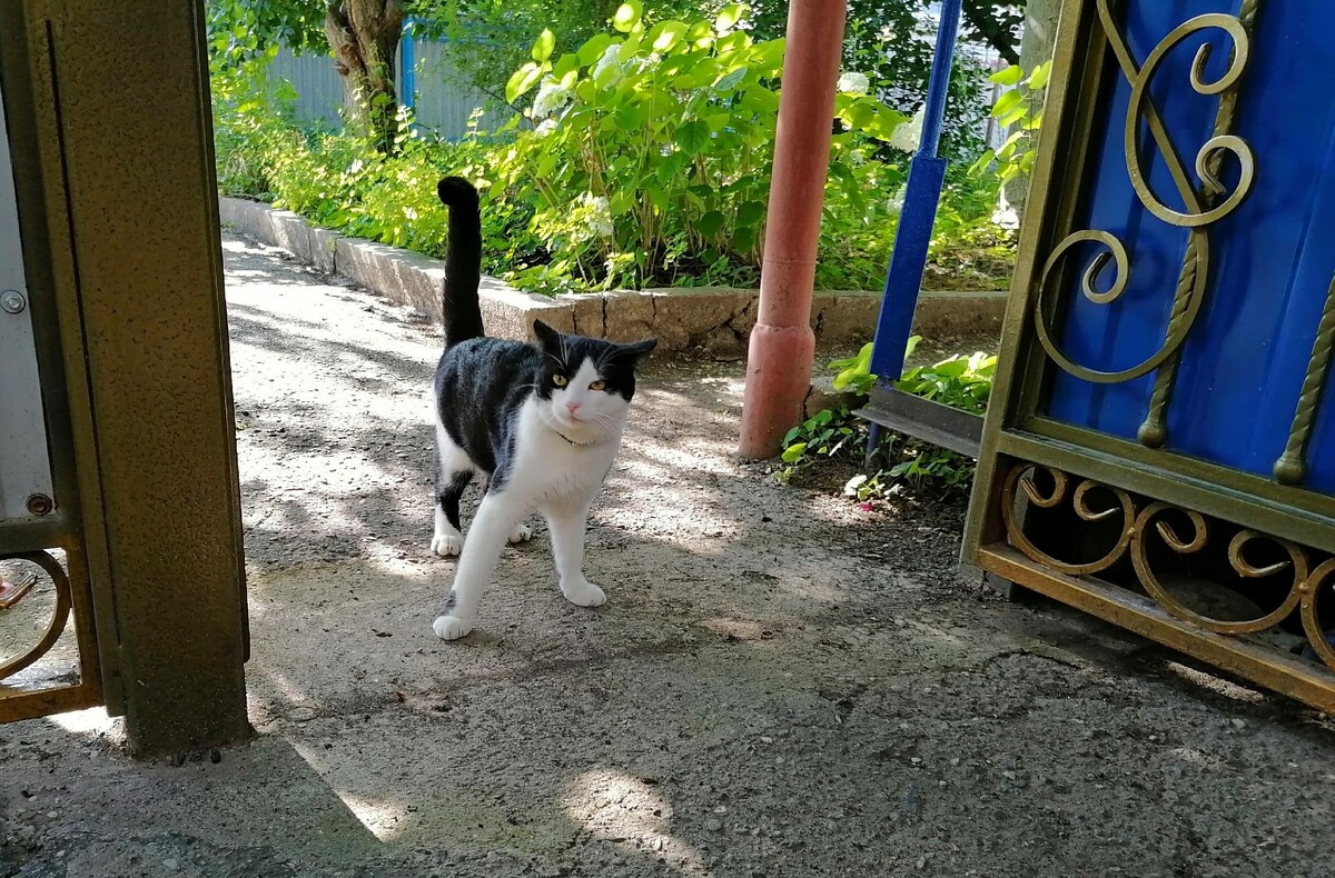 Авторское фото.