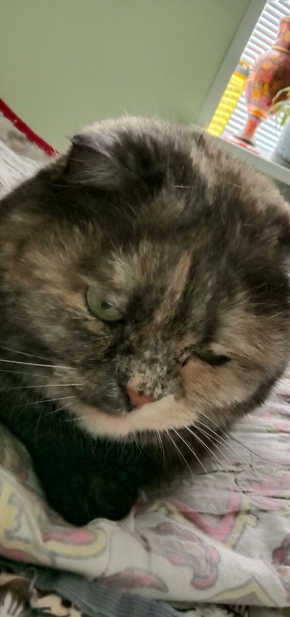 Фото автора. Все пометила, можно и отдохнуть