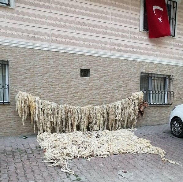 Шерсть в Эсеньюрте