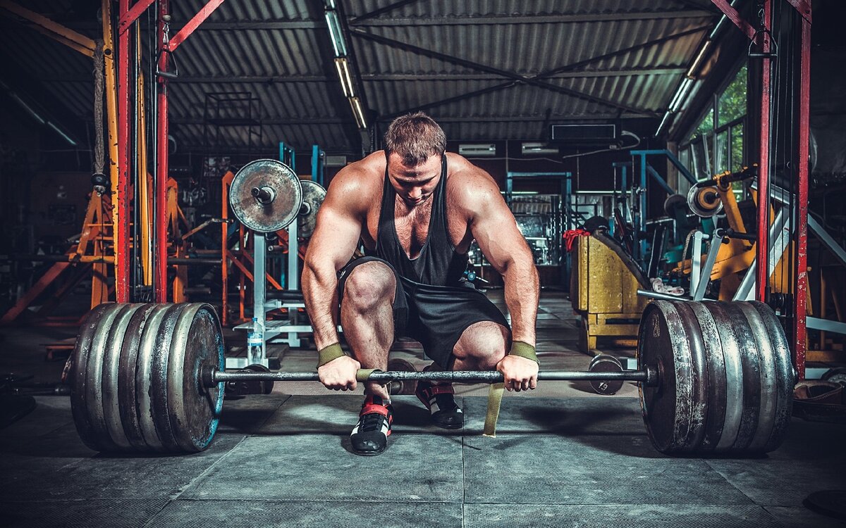 Взято с https://wallbox.ru/resize/2560x1600/wallpapers/main/201519/d014f941d2eb058.jpg