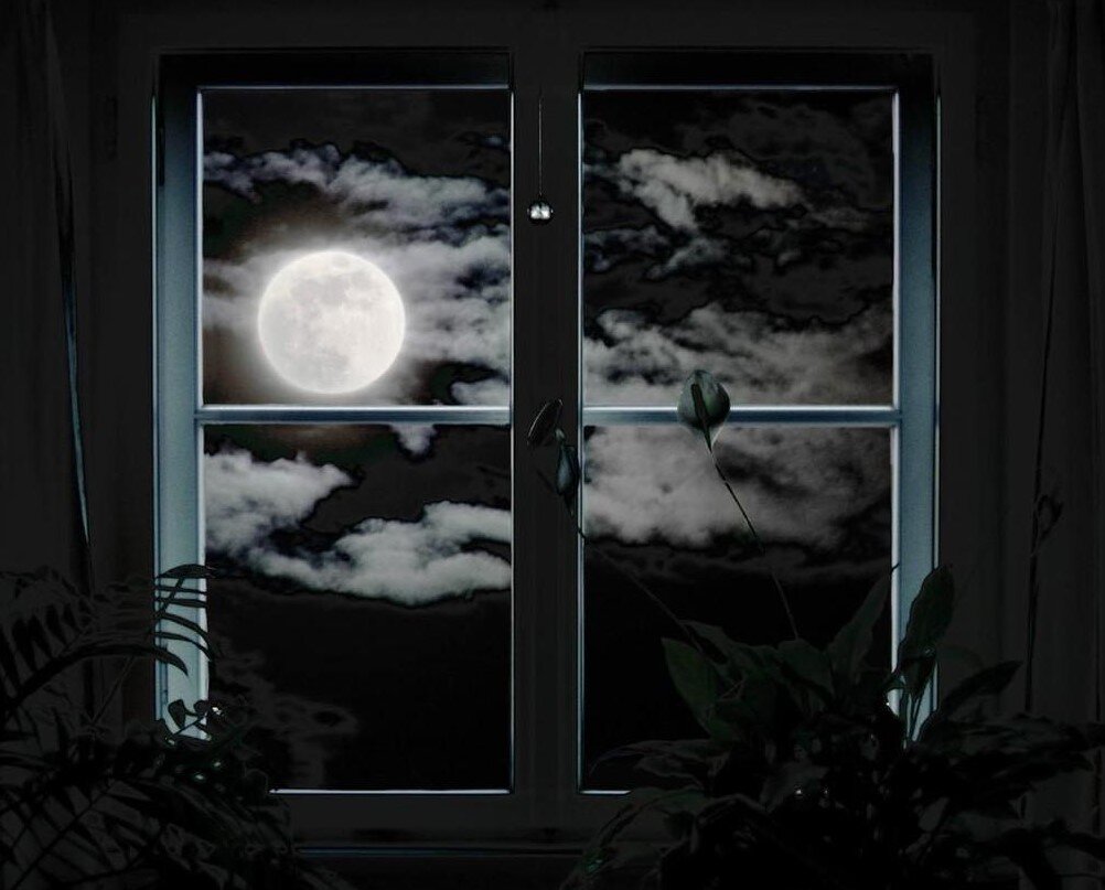 Фото из открытого источника в интернете