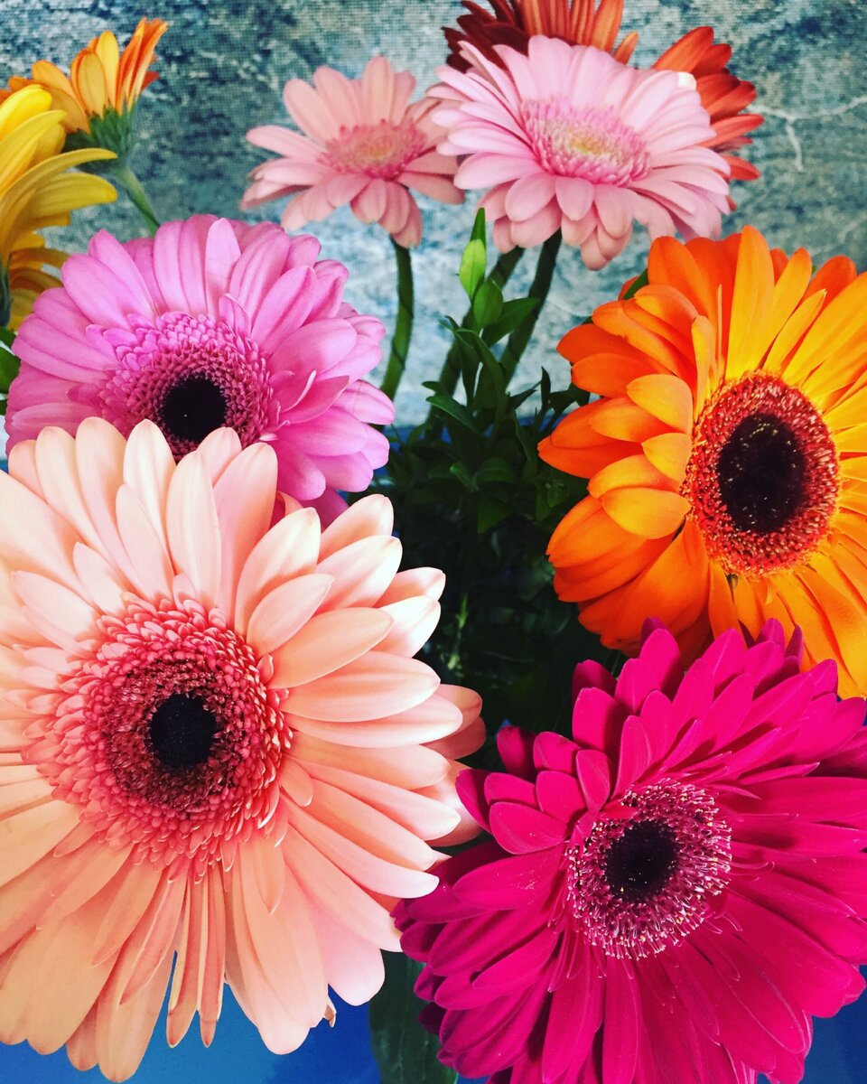 Фото сделано автором 