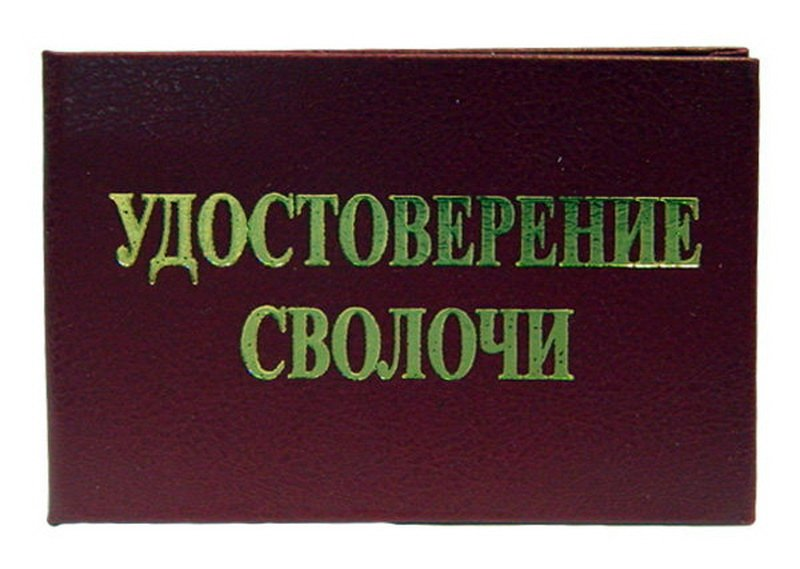Смысл слова сволочь. Что означает слово сволочь. Сволочь этимология. Сволочь значение. Сволочь.