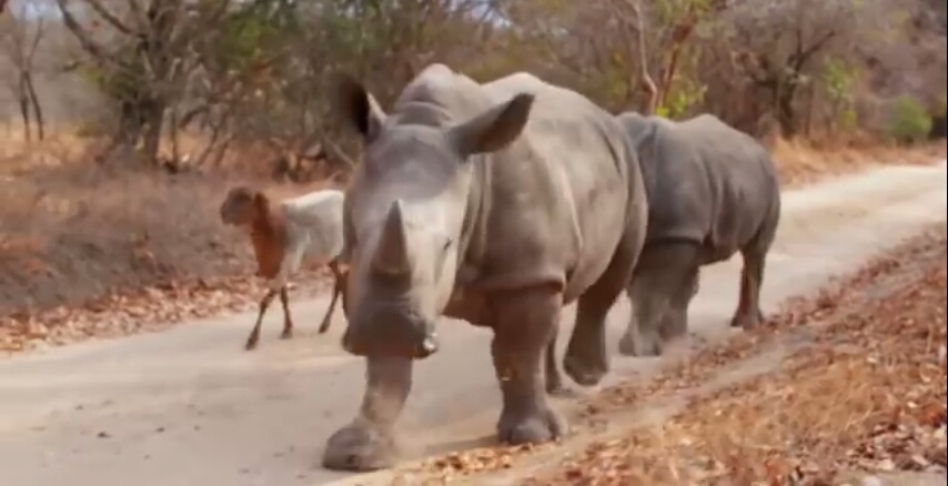 (Изображение взято из свободных источников) 