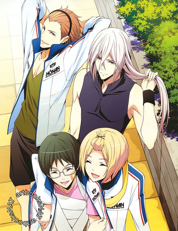 Описание: В аниме сериале «Принц страйда: Альтернатива» мы сможем познакомится с таким видом спорта как «страйд» в котором скорость, экстрим и драйв бьют ключом. В ежегодно проводимом конкурсе между почти всеми школами Японии, под названием «Конец лета» может победить только одна команда в составе шести самых быстрых и ловких ребят. Такэру Фудживара и Нана Сакурай ученики старших классов школы Хонан, задались целью собрать особенную команду, которая обязательно возьмет главный приз в этом году. Но для этого нужны только самые быстрые и старшеклассникам предстоит попотеть прежде чем отыскать членов команды и заставить их участвовать. 
