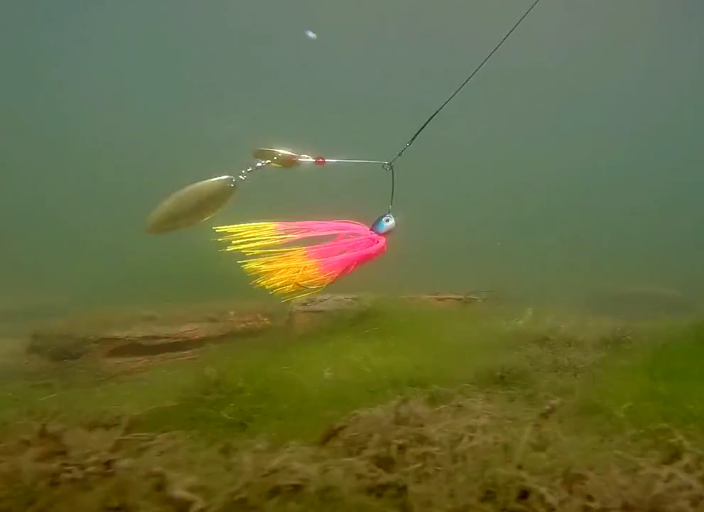 Спиннербей