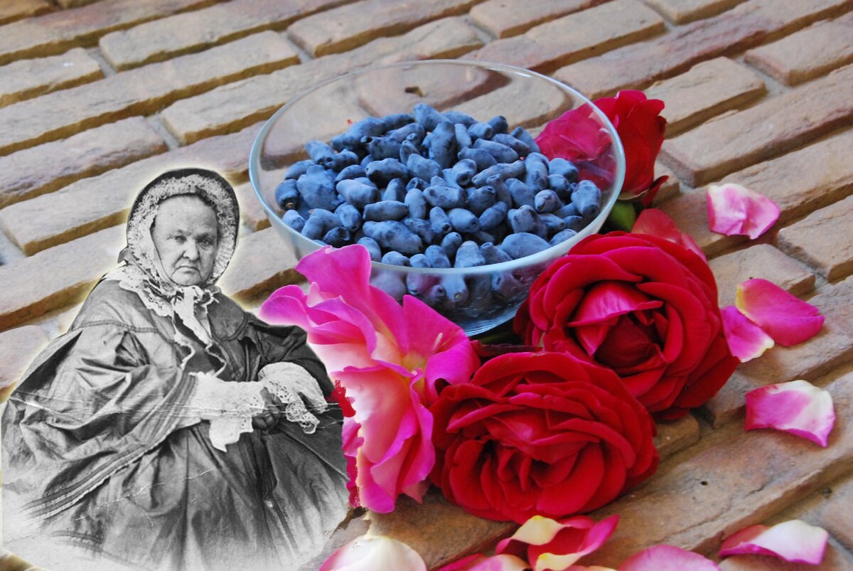 Мои жимолость и роза и Варвара Петровна Тургенева