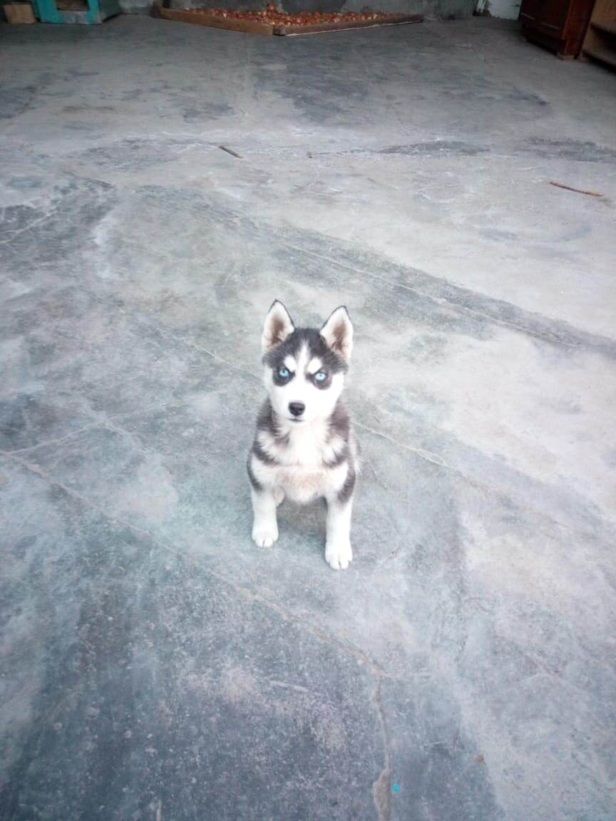 Это девочка.