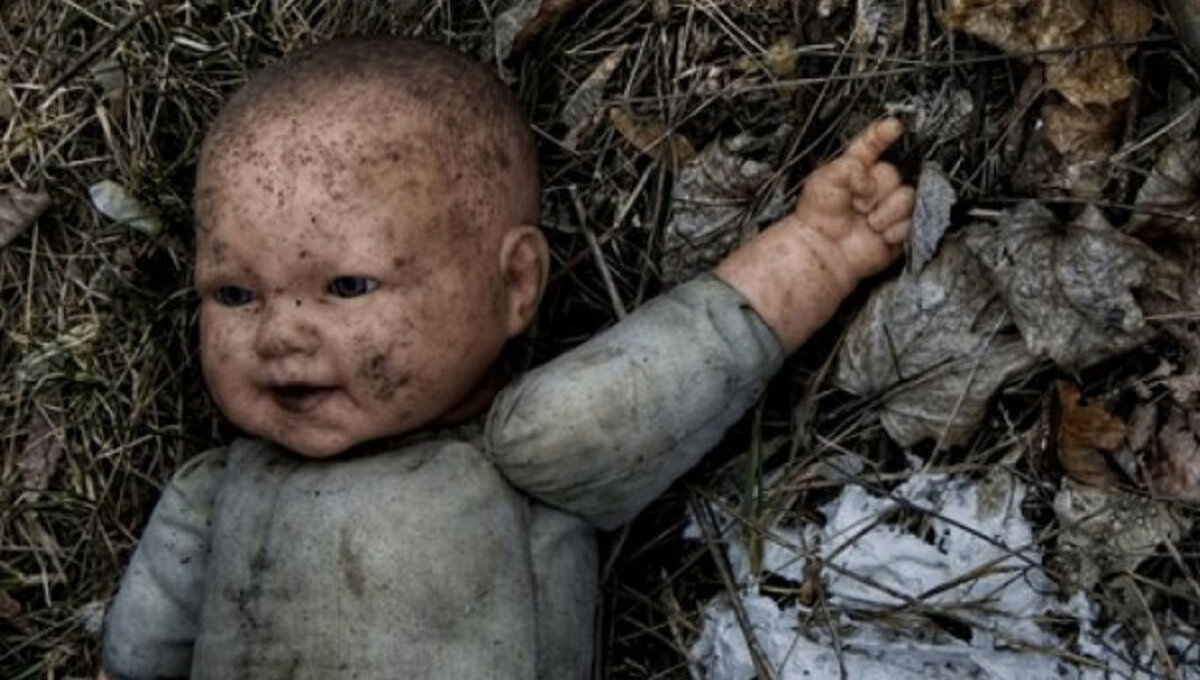                                                            Фотография взята из сети Интернет