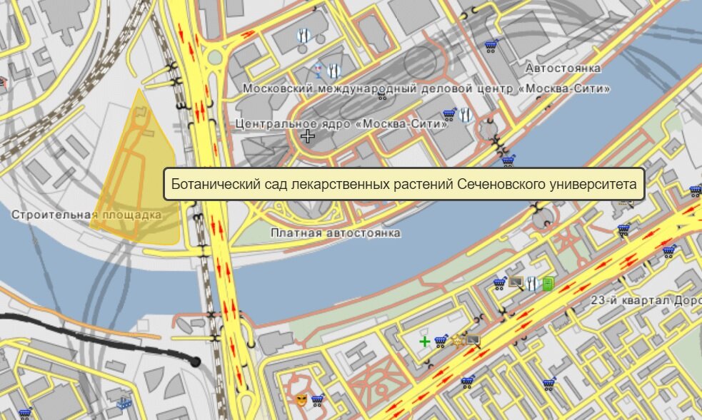 Ботанический сад на карте. Справа - деловой комплекс Москва-Сити. 
Скриншот: wikimapia.org 