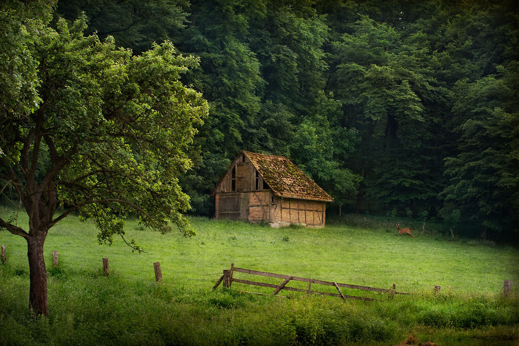 фото из интернета