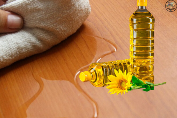 Не забудьте поставить ЛАЙК и ПОДПИСАТЬСЯ НА КАНАЛ