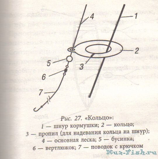 Ловля леща на кольцо: особенности, плюсы и минусы, как ловить, секреты и советы