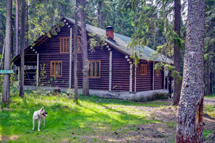 Пляжи и базы отдыха на Таватуе. Где искупаться и позагорать | U-mama.ru ...