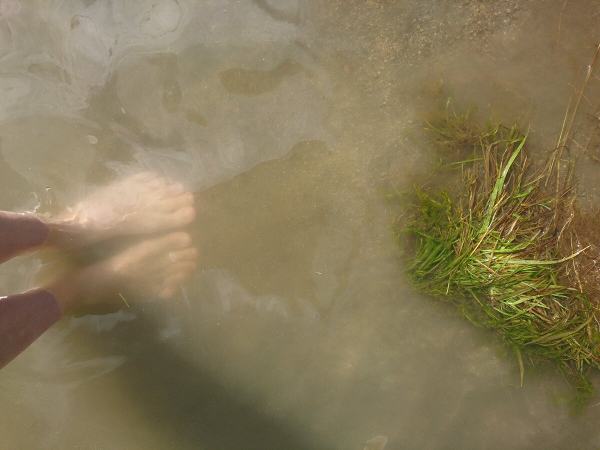 В озере золотые песчинки, очень красиво переливаются. Кто знает, что это, поделитесь, пожалуйста. 