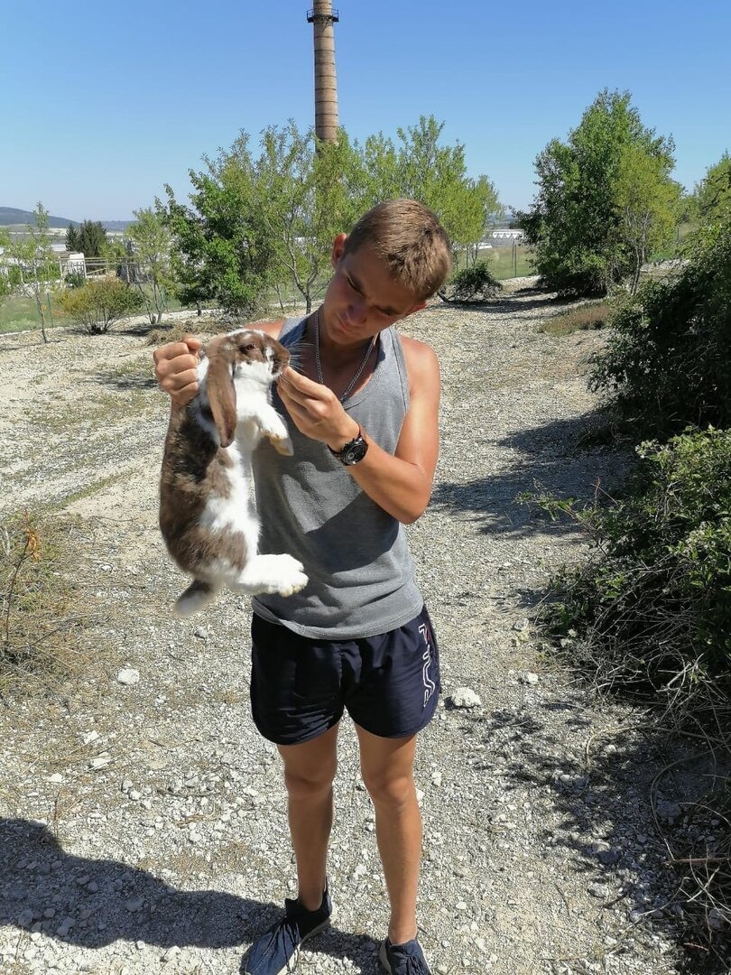 Видите еще кроликов 