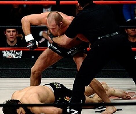 Победа Нокаутом. Бой Федор Емельяненко против Андрея Орловского. Фото из свободного источника Яндекс. Картинки