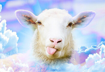 Будет ли жертвоприношение?