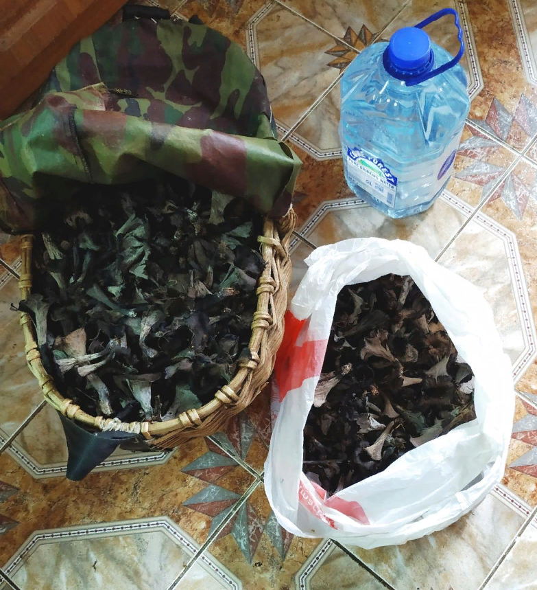 Фото  Новика Опубликовано: 30.07.2020 14:45