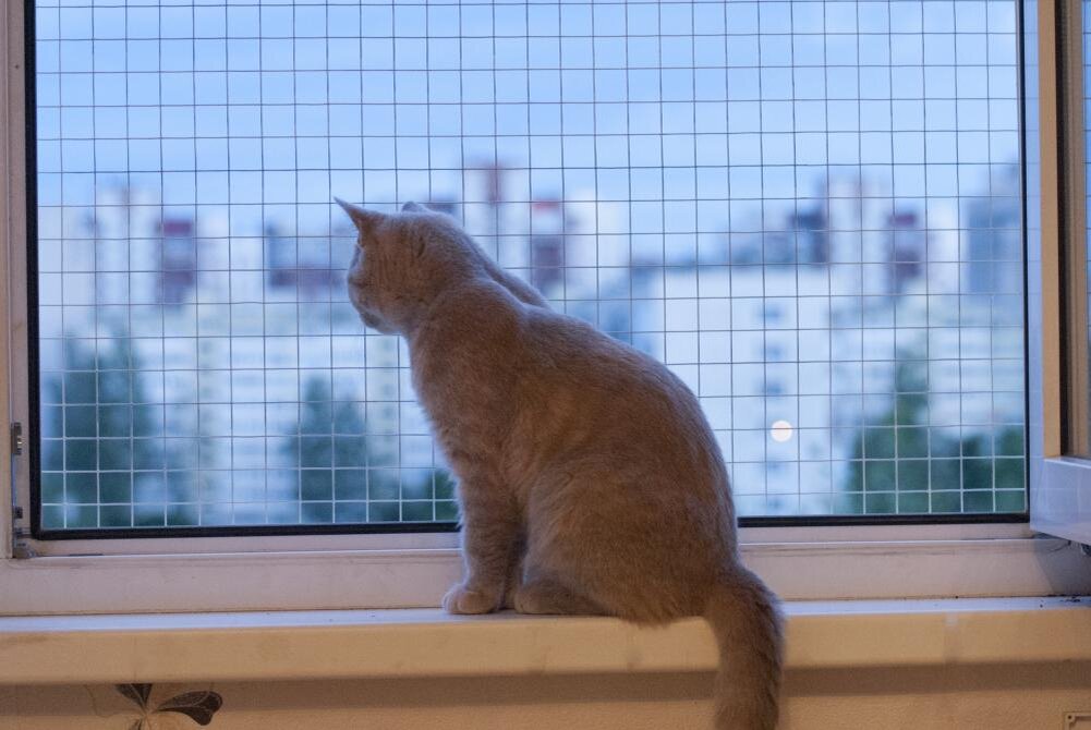 Сетка на окно для кошек антикошка купить. Антикошка на окна. Москитные сетки антикошка. Решетка антикошка. БФК антикошка.