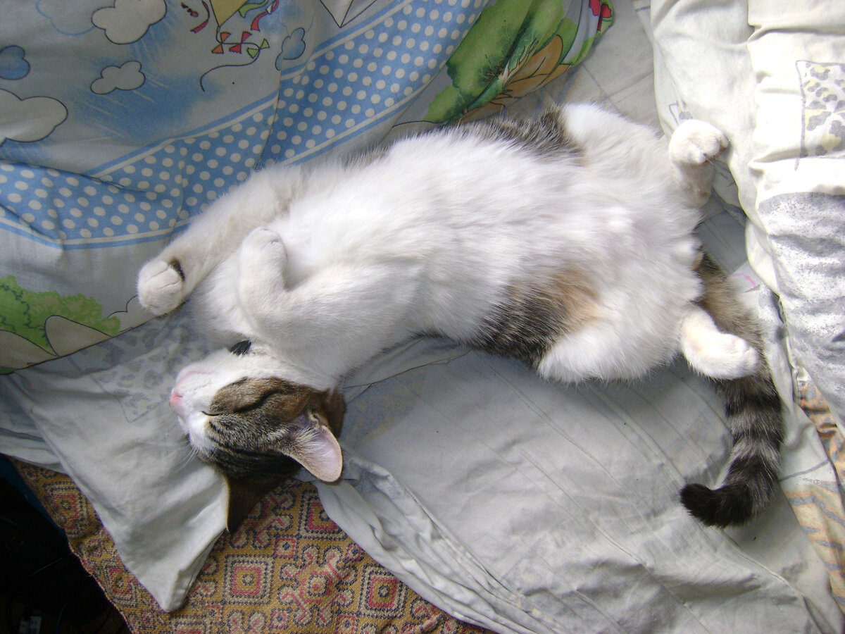 Наконец-то карантин закончился! (Фото из личного архива автора).