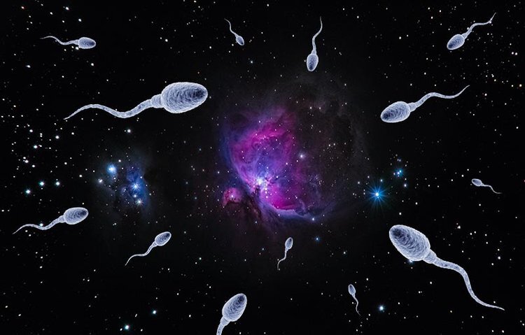 сперма на звездах 