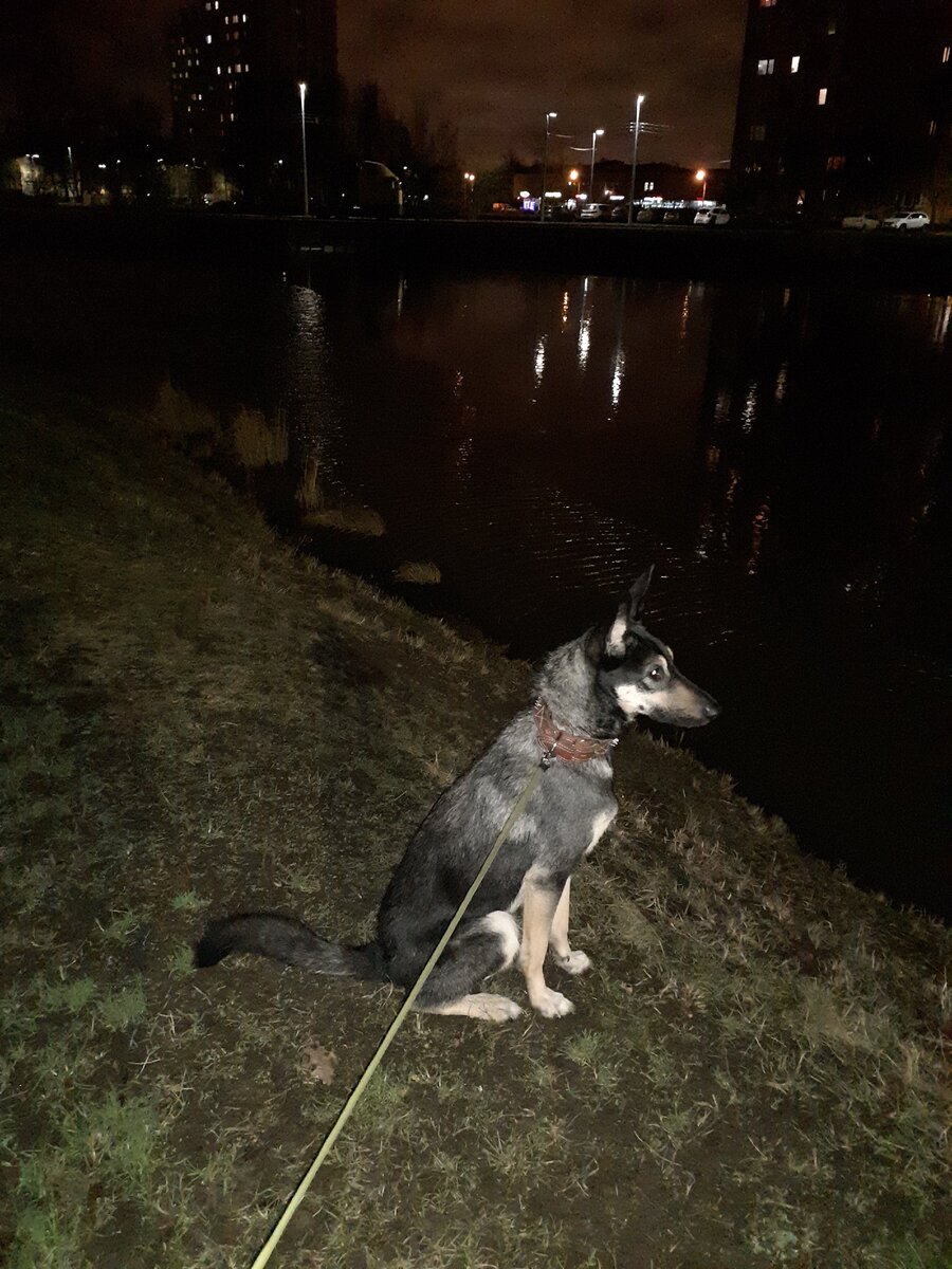 Начало новой жизни